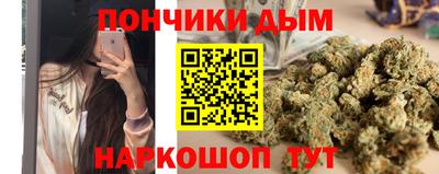сатива Можга