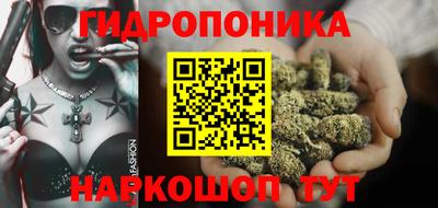 сатива Можга