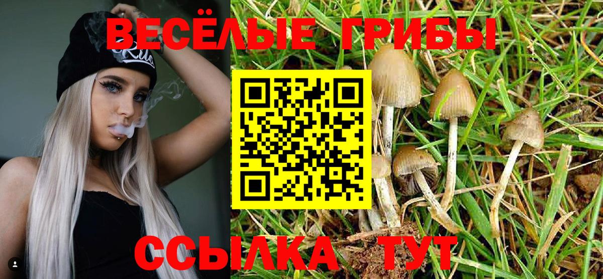 Галлюциногенные грибы мухоморы Владивосток