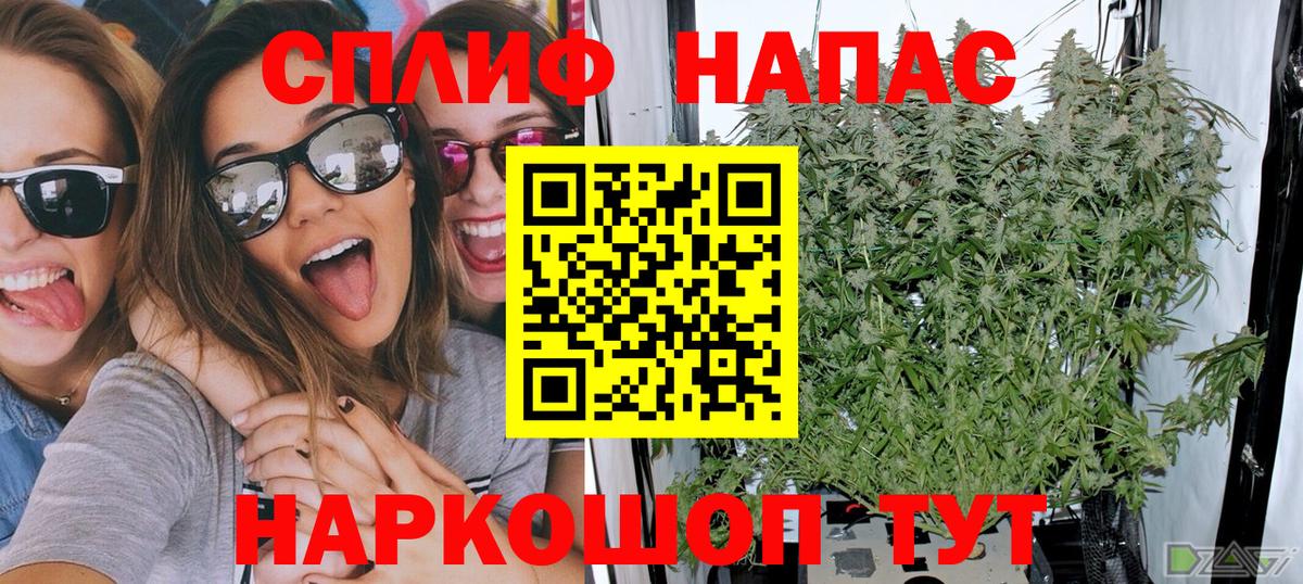 Бошки Шишки AK-47  Бошки марихуана White Widow  Вход с VPN  МАРИХУАНА AK-47  Владивосток  Бошки Шишки планчик 
